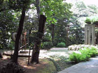 big-niwa.jpg
