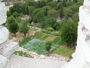 05.jpg
